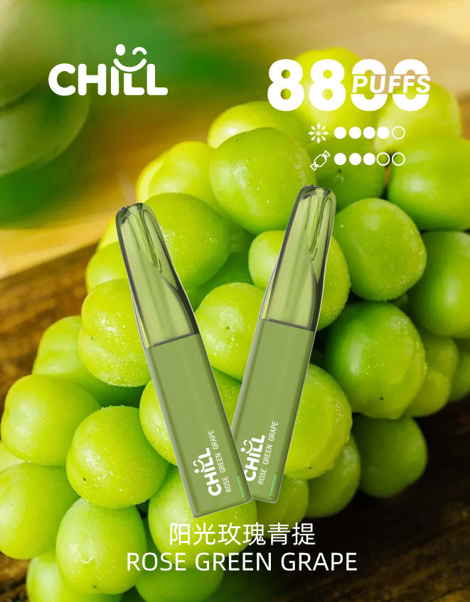 chill始祖鳥電子烟8800口
